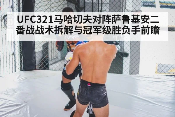 MMA cage grappling（SPORTS）