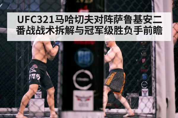 MMA octagon fight
